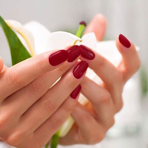 FOUR SEASONS NAIL AND SPA - Dip Nails