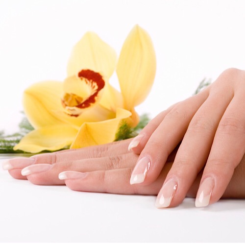 FOUR SEASONS NAIL AND SPA - manicure